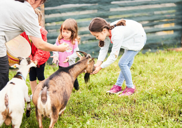     Urlop na gospodarstwie w Austrii, dzieci głaszczą kozy 